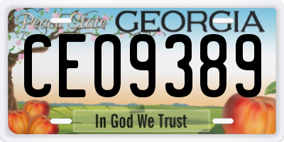 GA license plate CEO9389