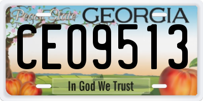 GA license plate CEO9513