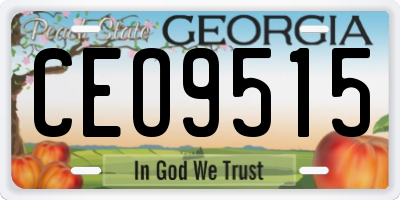 GA license plate CEO9515