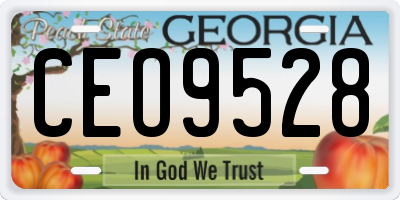GA license plate CEO9528