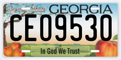 GA license plate CEO9530