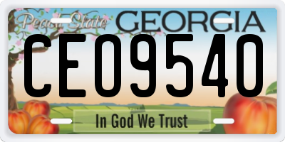 GA license plate CEO9540