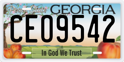 GA license plate CEO9542