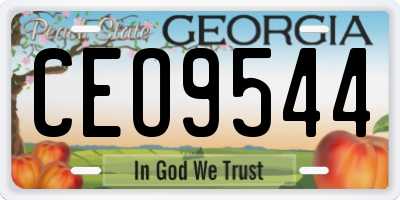 GA license plate CEO9544