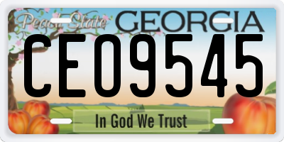 GA license plate CEO9545