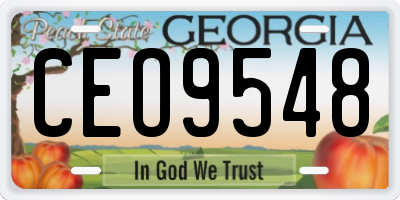 GA license plate CEO9548