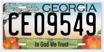 GA license plate CEO9549