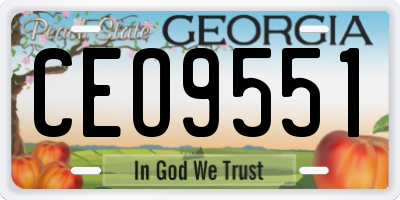 GA license plate CEO9551
