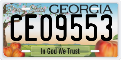 GA license plate CEO9553