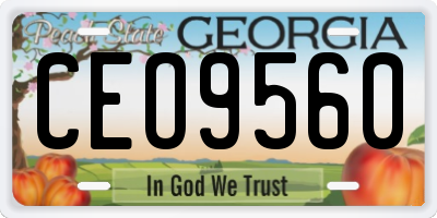 GA license plate CEO9560