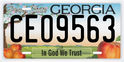 GA license plate CEO9563