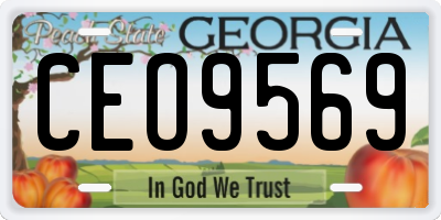 GA license plate CEO9569