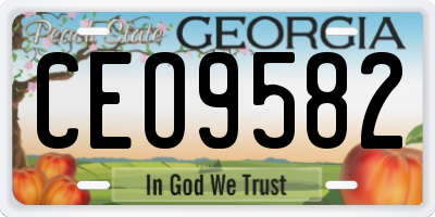 GA license plate CEO9582