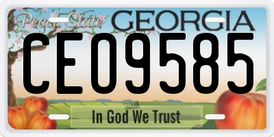 GA license plate CEO9585