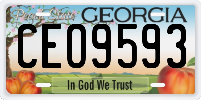 GA license plate CEO9593