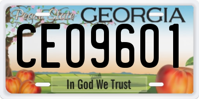 GA license plate CEO9601