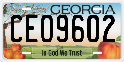 GA license plate CEO9602