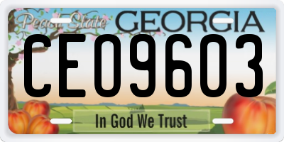 GA license plate CEO9603