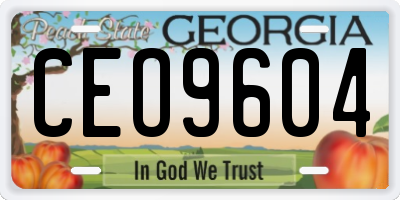 GA license plate CEO9604