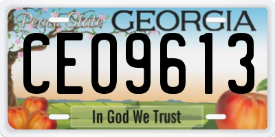GA license plate CEO9613