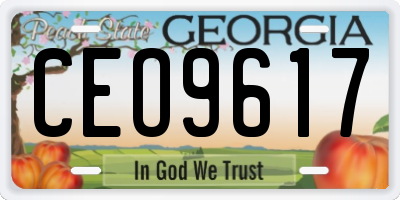 GA license plate CEO9617