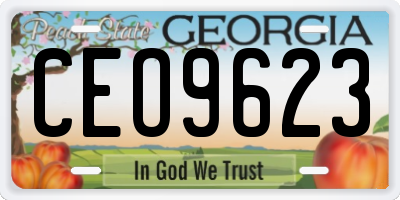 GA license plate CEO9623