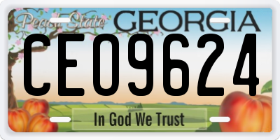 GA license plate CEO9624