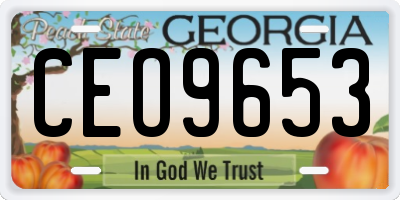 GA license plate CEO9653
