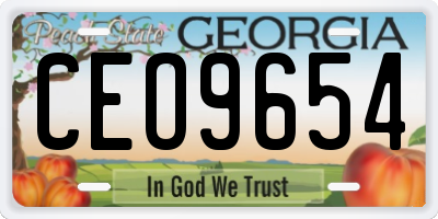 GA license plate CEO9654