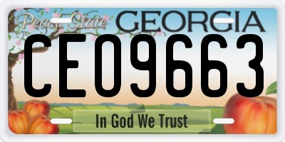 GA license plate CEO9663