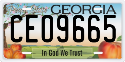 GA license plate CEO9665
