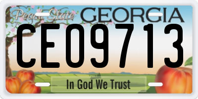 GA license plate CEO9713
