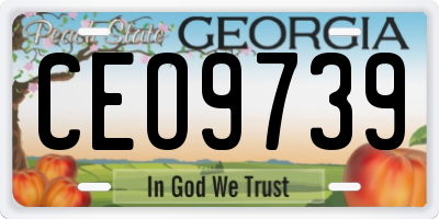 GA license plate CEO9739