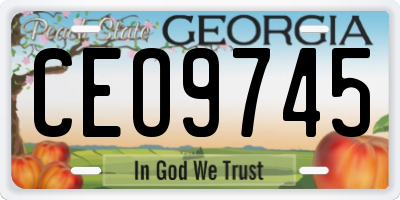 GA license plate CEO9745