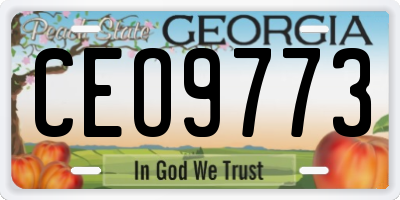 GA license plate CEO9773