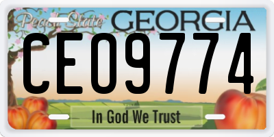 GA license plate CEO9774
