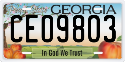 GA license plate CEO9803