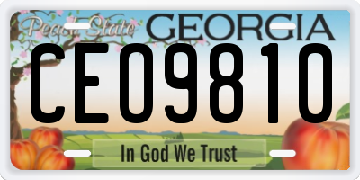 GA license plate CEO9810