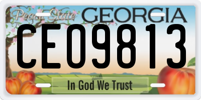 GA license plate CEO9813