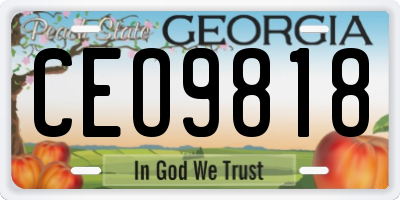 GA license plate CEO9818