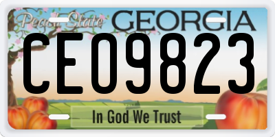GA license plate CEO9823
