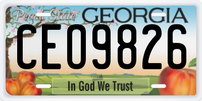 GA license plate CEO9826