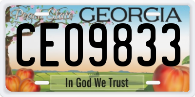 GA license plate CEO9833