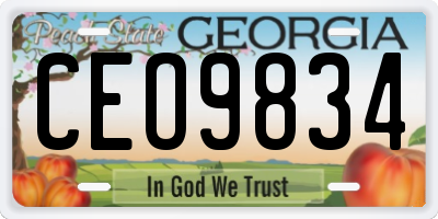 GA license plate CEO9834