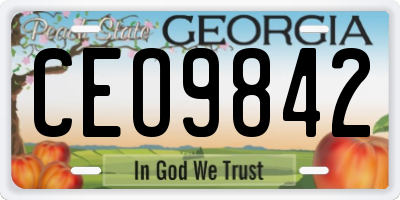 GA license plate CEO9842