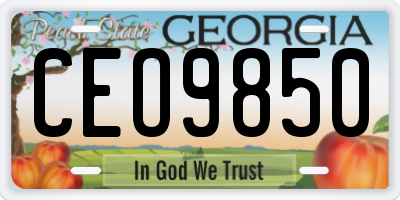 GA license plate CEO9850