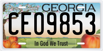 GA license plate CEO9853