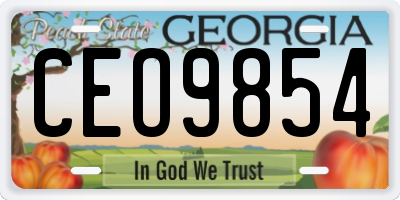 GA license plate CEO9854