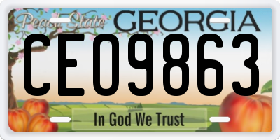GA license plate CEO9863