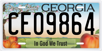 GA license plate CEO9864